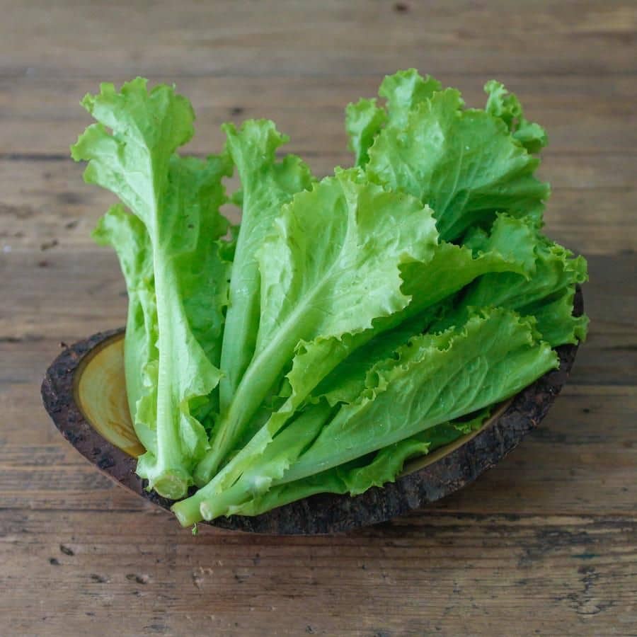 Vegetable Seeds Organic Lettuce Seeds For Gardening Seeds - Lettuce Green ​Seeds Seeds For Gardening Home Garden Seeds