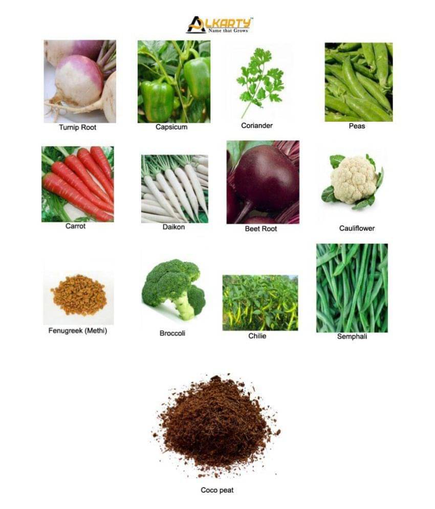 winter garden 12 vegetables seeds with growing soil     			winter garden 12 vegetables seeds with growing soil