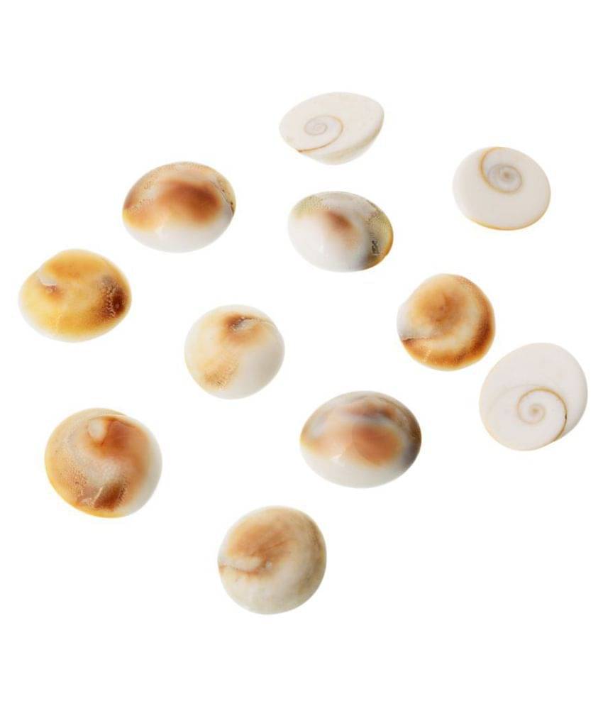     			Kesar Zems Stone Gomti (5 cm x 4 cm x 0.02 cm, White, Pack of 11)