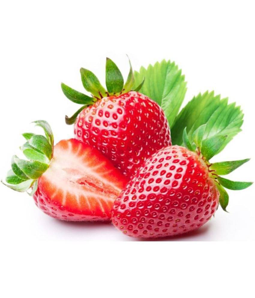 OhhSome Herb Yielding Seeds - Wild Strawberry Kitchen Garden Pack OhhSome Herb Yielding Seeds - Wild Strawberry Kitchen Garden Pack