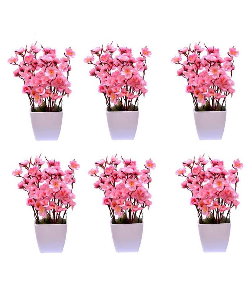Green plant indoor Orchids Multicolour Flowers With Pot - Pack of 6