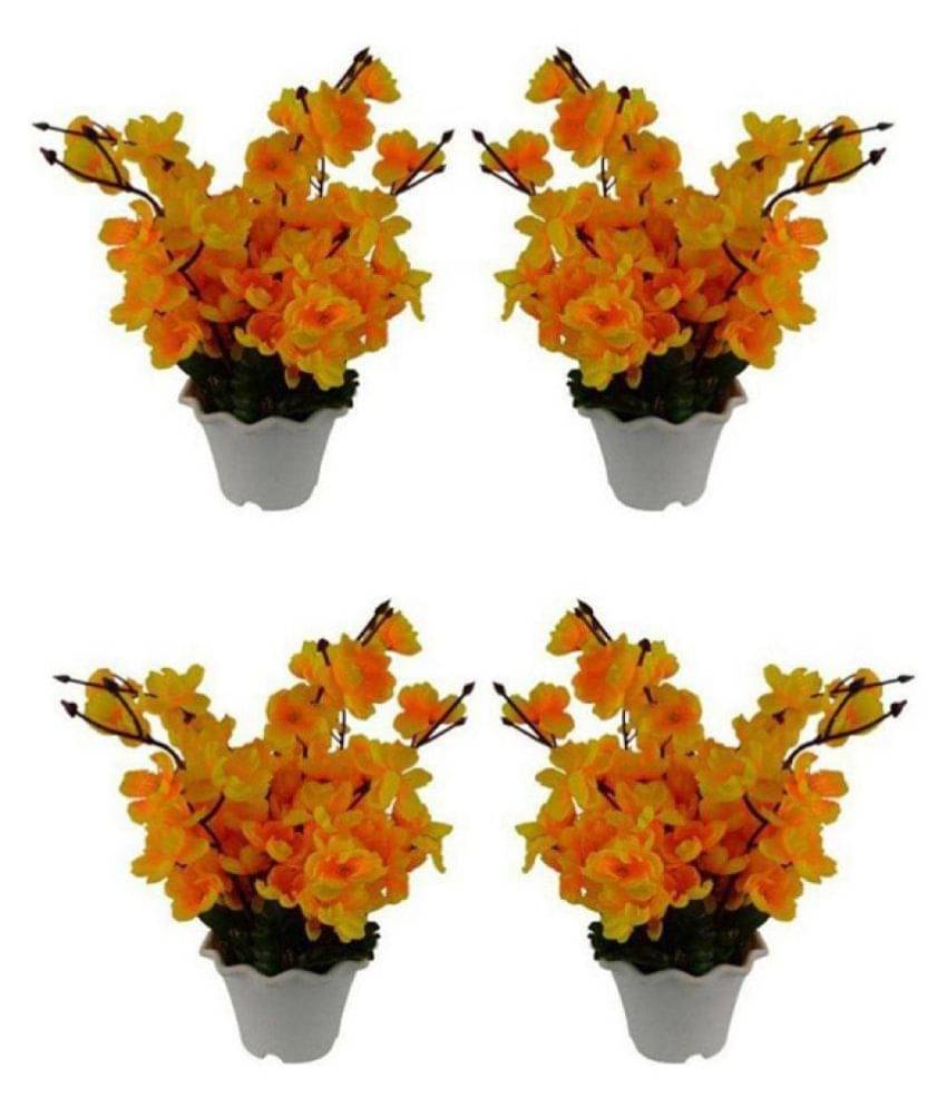 Green plant indoor Orchids Multicolour Flowers With Pot - Pack of 4 Green plant indoor Orchids Multicolour Flowers With Pot - Pack of 4