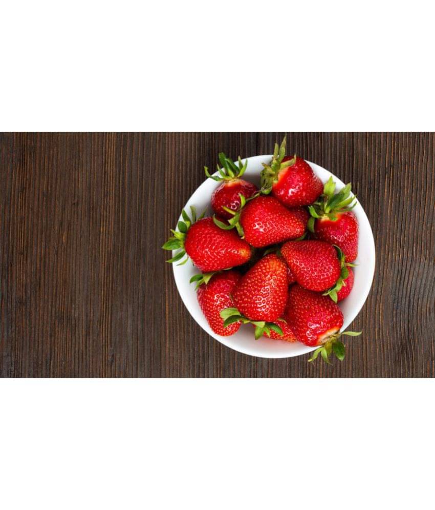 OhhSome Herb Seeds Home Depot - Strawberries Seeds - Aroma Bright Red Color Kitchen Garden Pack OhhSome Herb Seeds Home Depot - Strawberries Seeds - Aroma Bright Red Color Kitchen Garden Pack