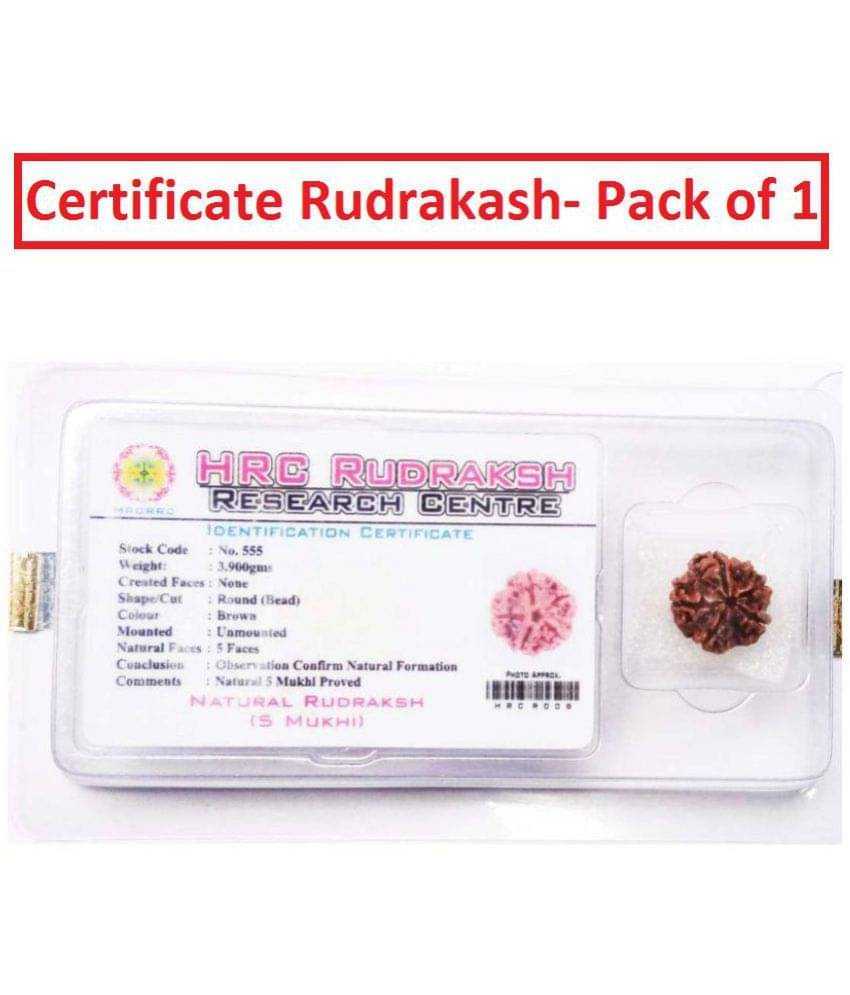 Pantone 100% Original 5 Face Nepali Rudraksha With Lab Certificate - Pack of 1 Pantone 100% Original 5 Face Nepali Rudraksha With Lab Certificate - Pack of 1