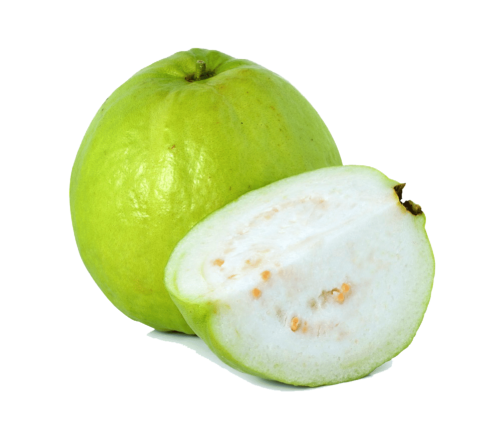 pearl guava seeds 100 seeds