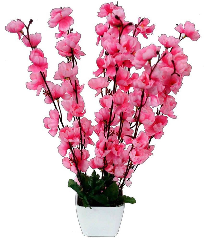 YUTIRITI Orchids Pink Flowers With Pot - Pack of 1