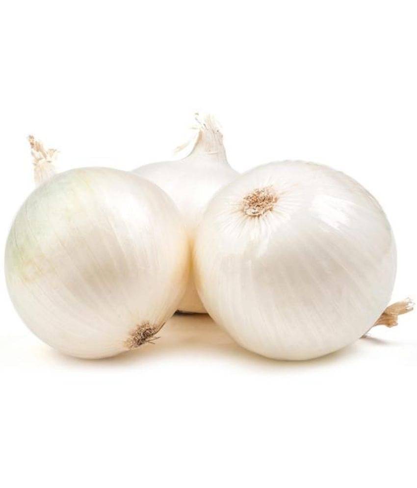 Onion White Seeds, Onions, Kanda, Round Shaped Pyaaz Seeds 200 Seeds Onion White Seeds, Onions, Kanda, Round Shaped Pyaaz Seeds 200 Seeds