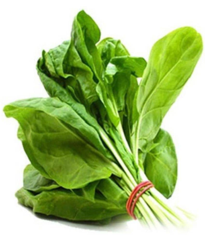 Palak Seeds For -100 Vegetable Seeds