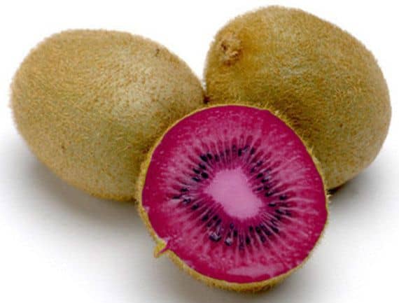 Kiwi Seeds - PINK LADY - Great Houseplant - Rare Tropical Fruit Seeds