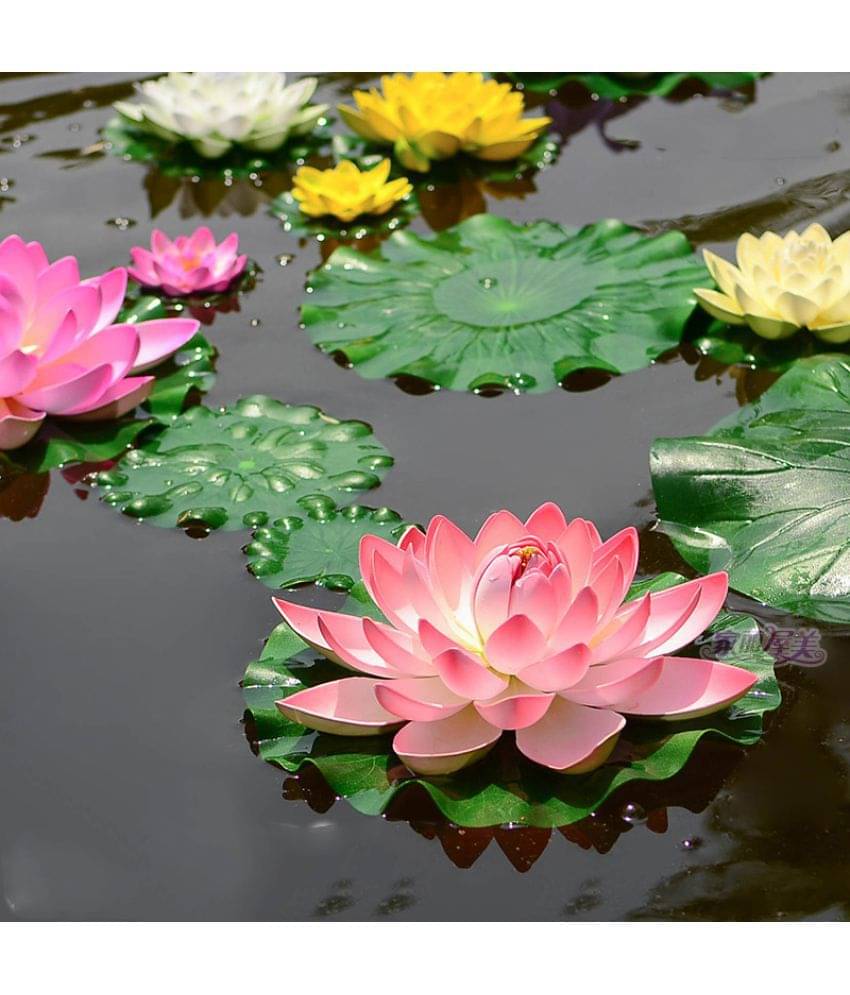     			Cromoxome Assorted Multicolour Floating Flowers - Pack of 5