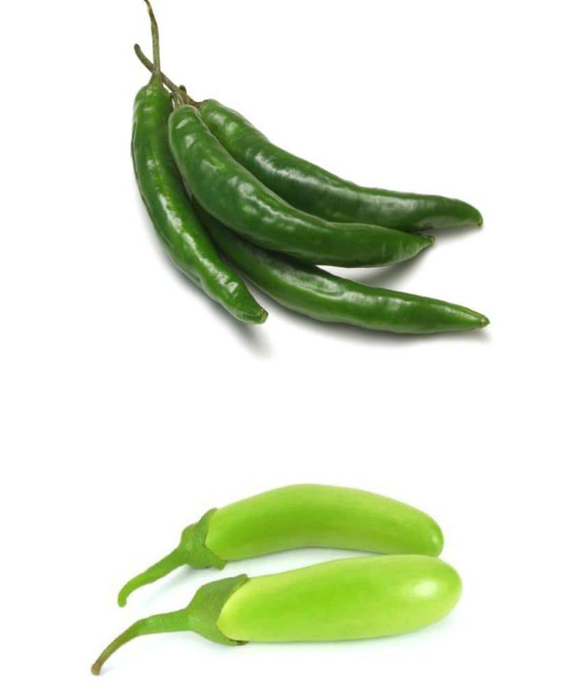 Vegetable seeds Green Chili and Green Brinjal Combo pack of 100 best quality premium seeds