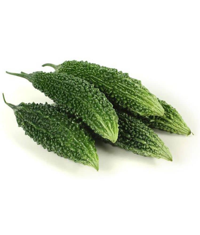 Bitter Gourd Seeds, Karela Seeds, Bitter Melon Squash Balsam Pear Seeds Pack of 20 Seeds