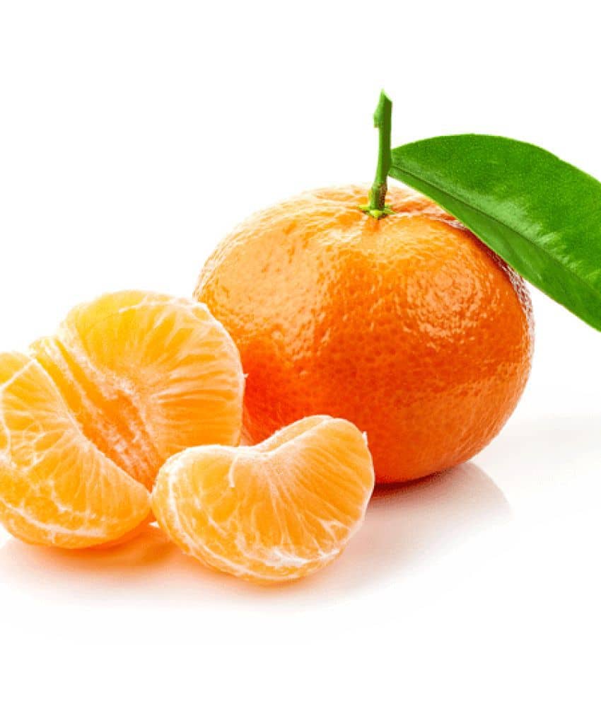Kinnow Mandarin Tree Fruit 10 Seeds Citrus Tree Seeds Good germination Seeds