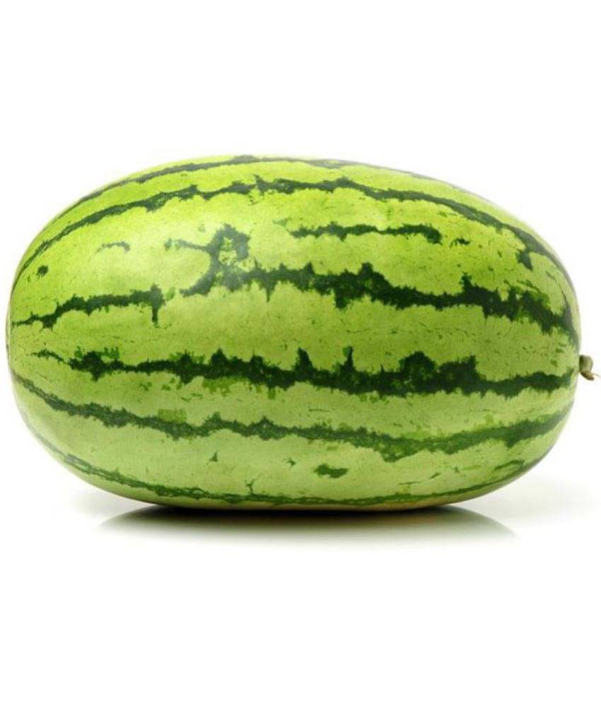 Watermelon Seeds, Water Melon Striped Oval Tarbooz Pack Of 20 Seeds     			Watermelon Seeds, Water Melon Striped Oval Tarbooz Pack Of 20 Seeds