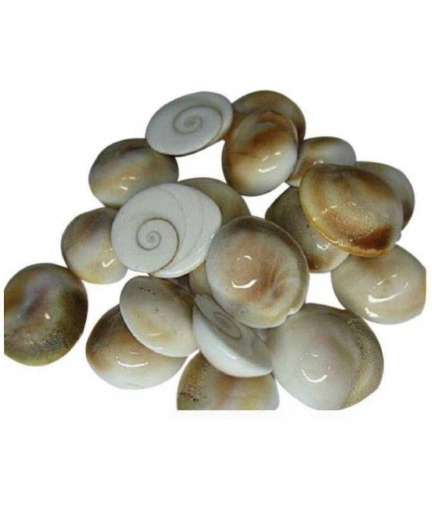     			Shivoham Gomti Chakra Stonewere yantra