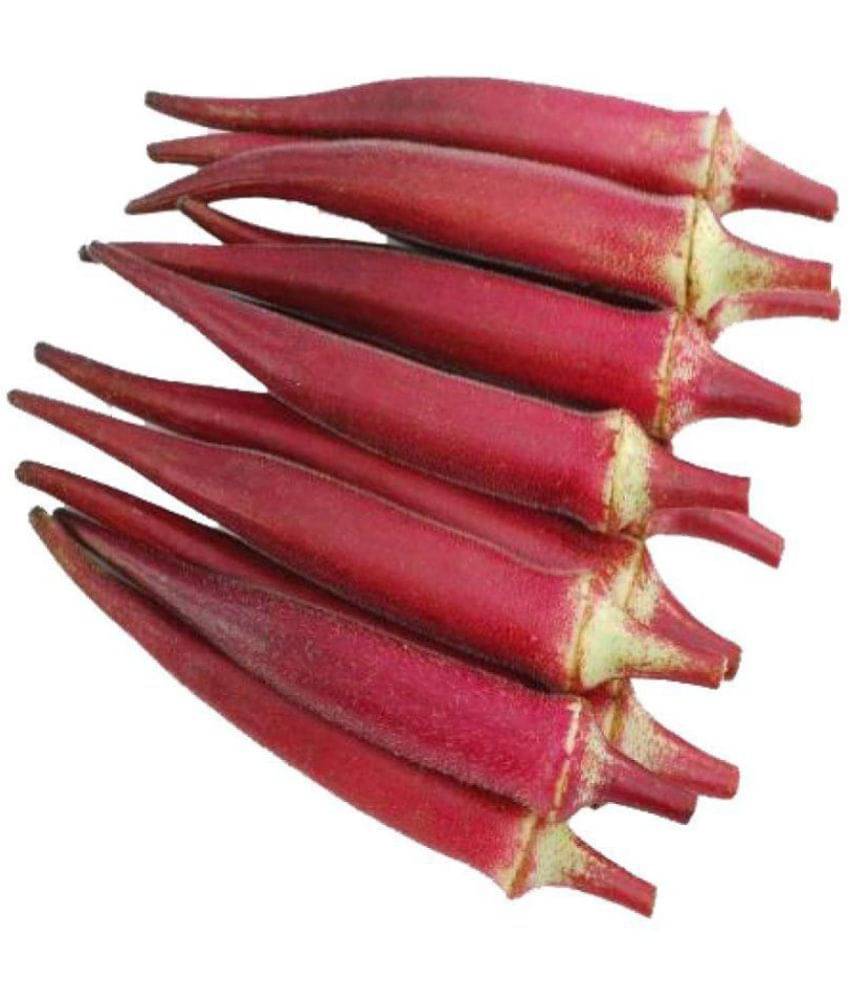     			Nema Red Okra Seeds - 20 Pcs