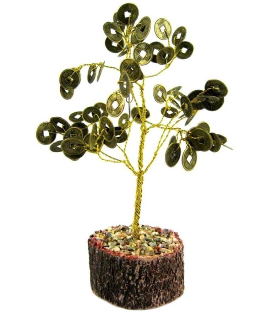     			S.S Collection Money Tree