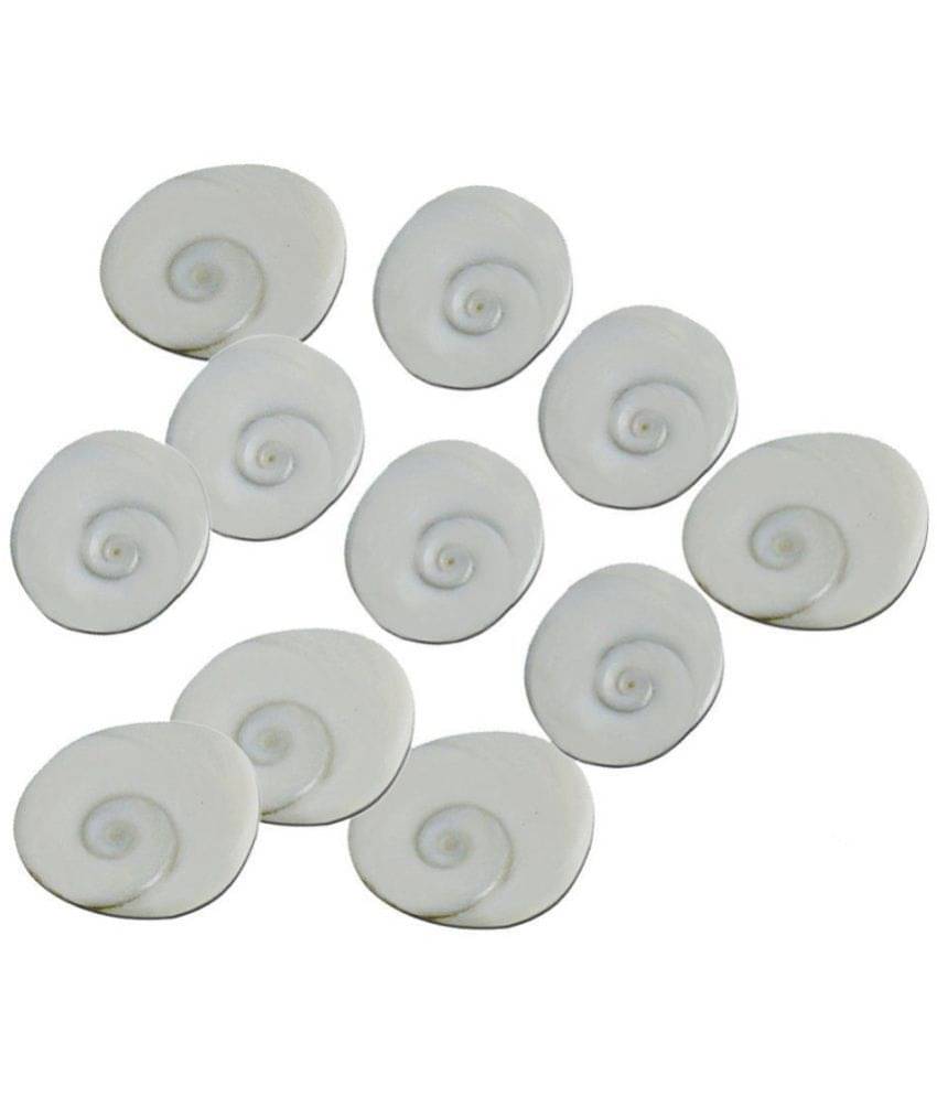     			S.S Collection Original Energized Set Of 11 Gomati Chakra For Mystic Lakshmi Pooja | Puja Samagri For Goddess Laxmi and Wealth Luck