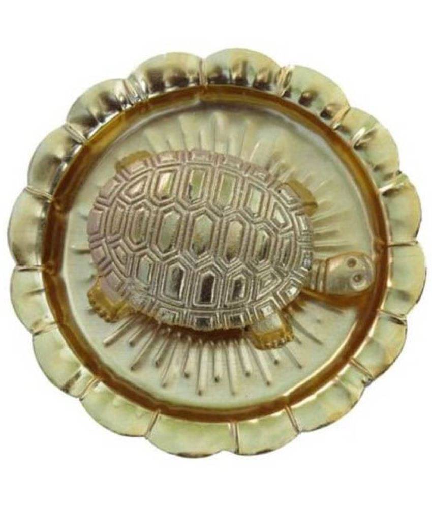     			nitin collection Tortoise