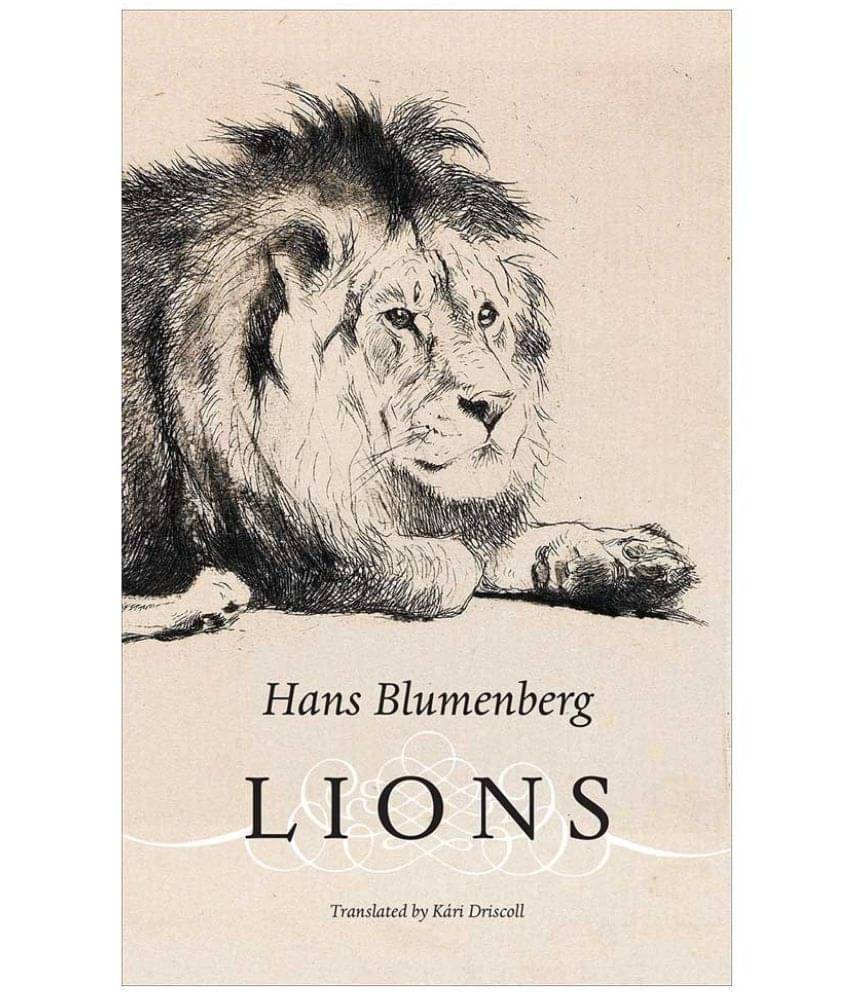     			Lions