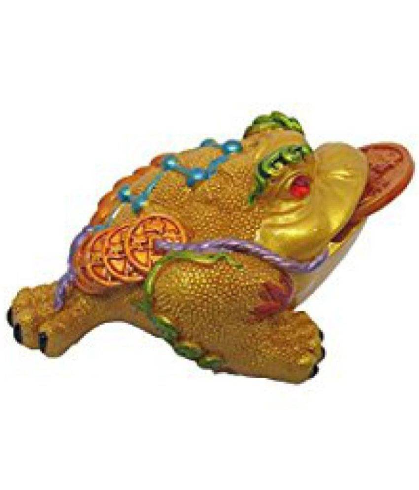     			DD Feng Shui Frog - Toad Multi Colour with Coin