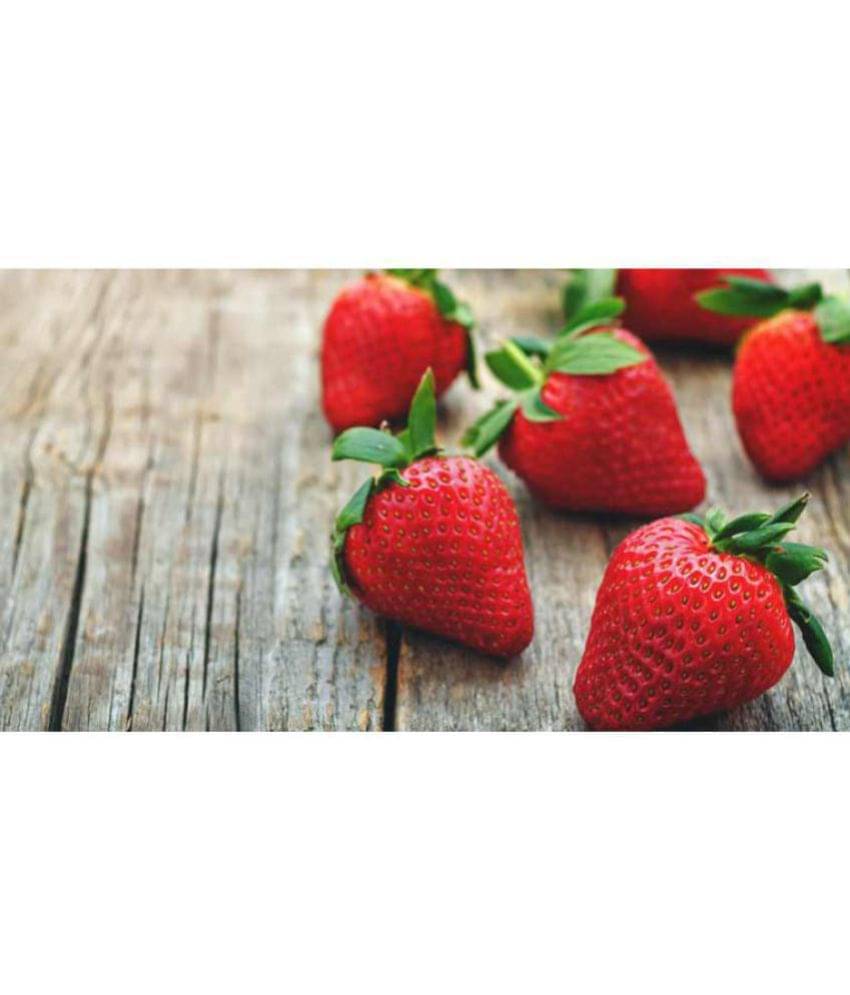 OhhSome Herb Seeds For Planting - Herb Alpine Strawberries Kitchen Garden Pack OhhSome Herb Seeds For Planting - Herb Alpine Strawberries Kitchen Garden Pack