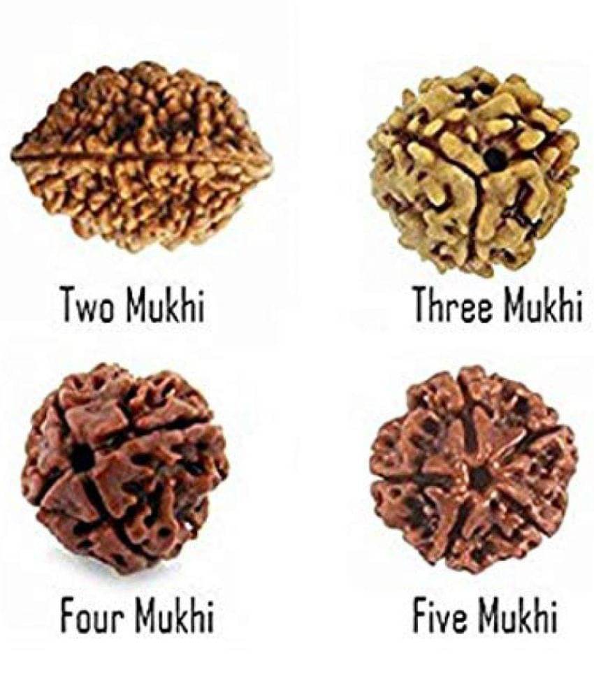     			PAYSTORE 100 % ORIGNAL Rudraksha Beads (2 to 5 Mukhi)