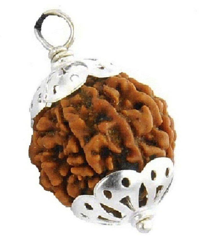     			6 Mukhi Nepal Rudraksha Silver Cap