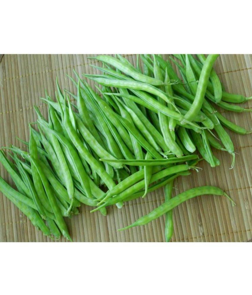 OhhSome Cluster Bean Guar For Terrace Vegetable Seeds OhhSome Cluster Bean Guar For Terrace Vegetable Seeds