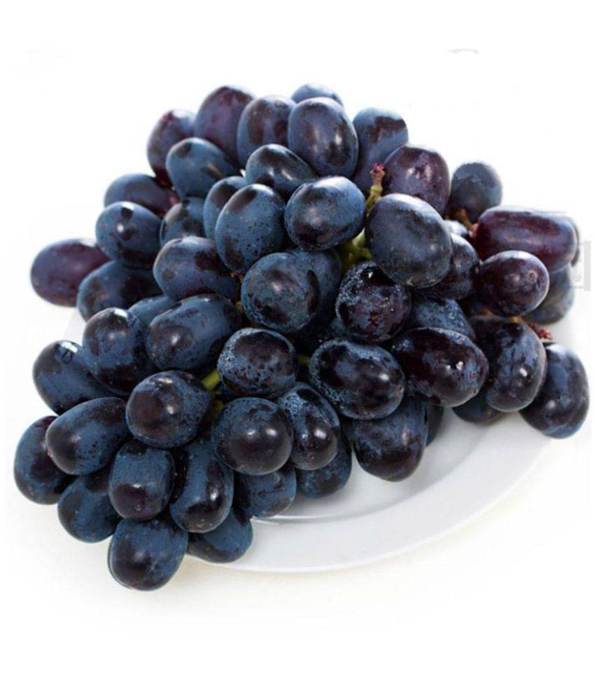     			Nema Black Grape Seeds - 50Pcs