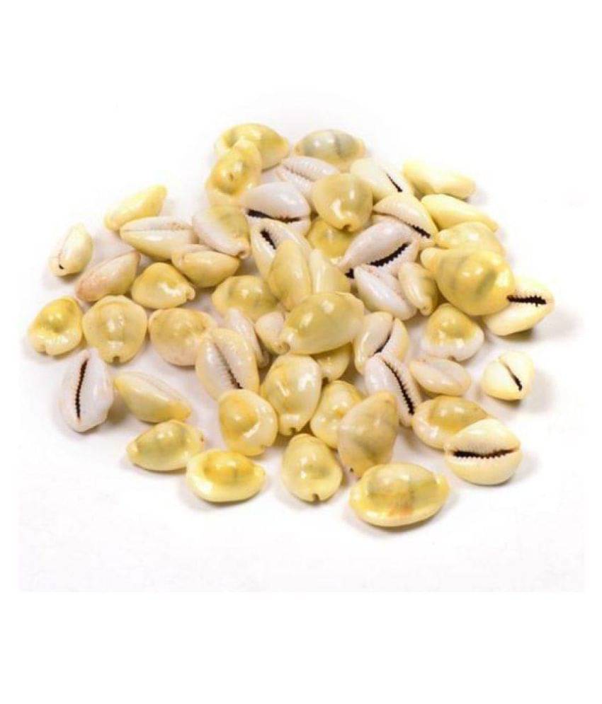     			Marble Koudi - (Pack of 1)