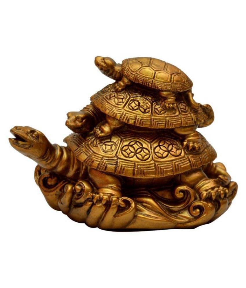    			King & Queen Tortoise