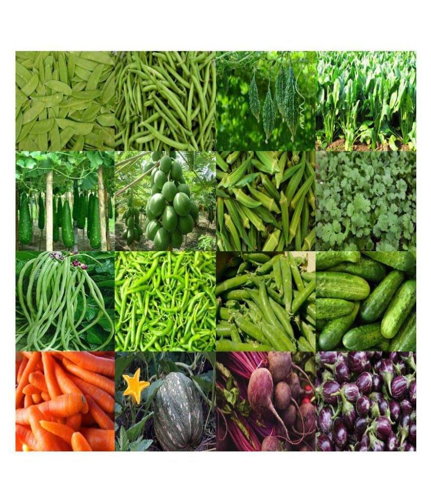     			Pal Organic 16 Variety Vegetable Best Quality Combo Seeds - Pack Of 350 Hybrid Seeds