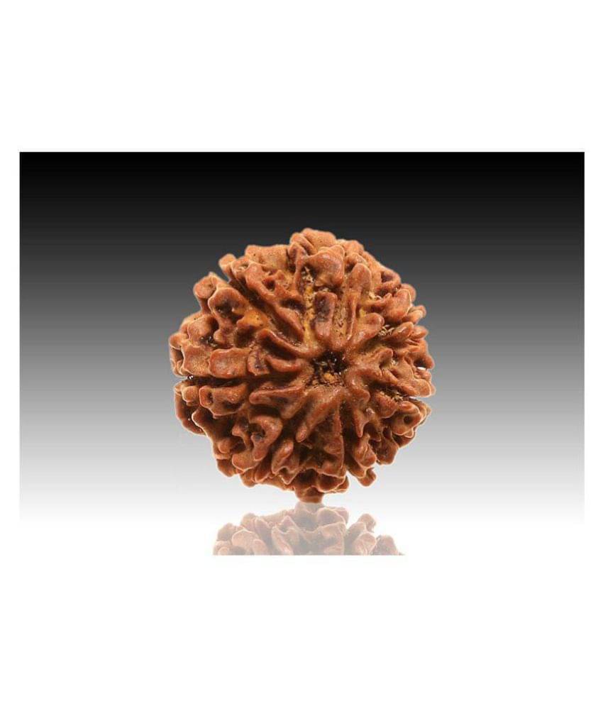 7 faced Rudraksha 100% original Lab certified 7 face mukhi Nepali beads / Divine Almighty Genuine Rudraksha by RUDRA DIVINE / guaranty of Originality 7 faced Rudraksha 100% original Lab certified 7 face mukhi Nepali beads / Divine Almighty Genuine Rudraksha by RUDRA DIVINE / guaranty of Originality