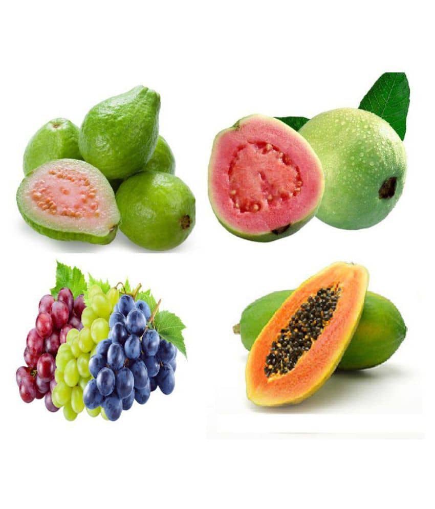 Alkarty Fruit Seeds Mega Combo (Papaya, Guava, Grapes,seeds 20 seeds of pack