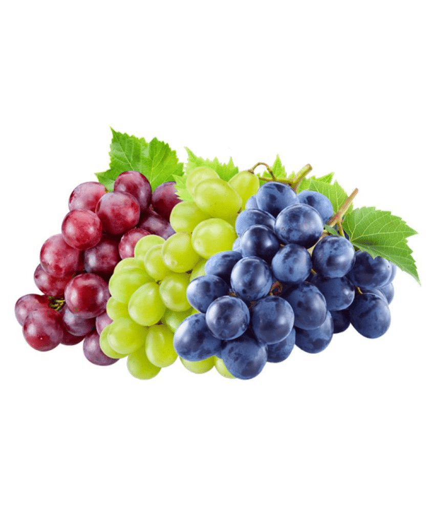     			alkarty grapes combo of three colors grapes Seeds Of Fruits 20 seeds
