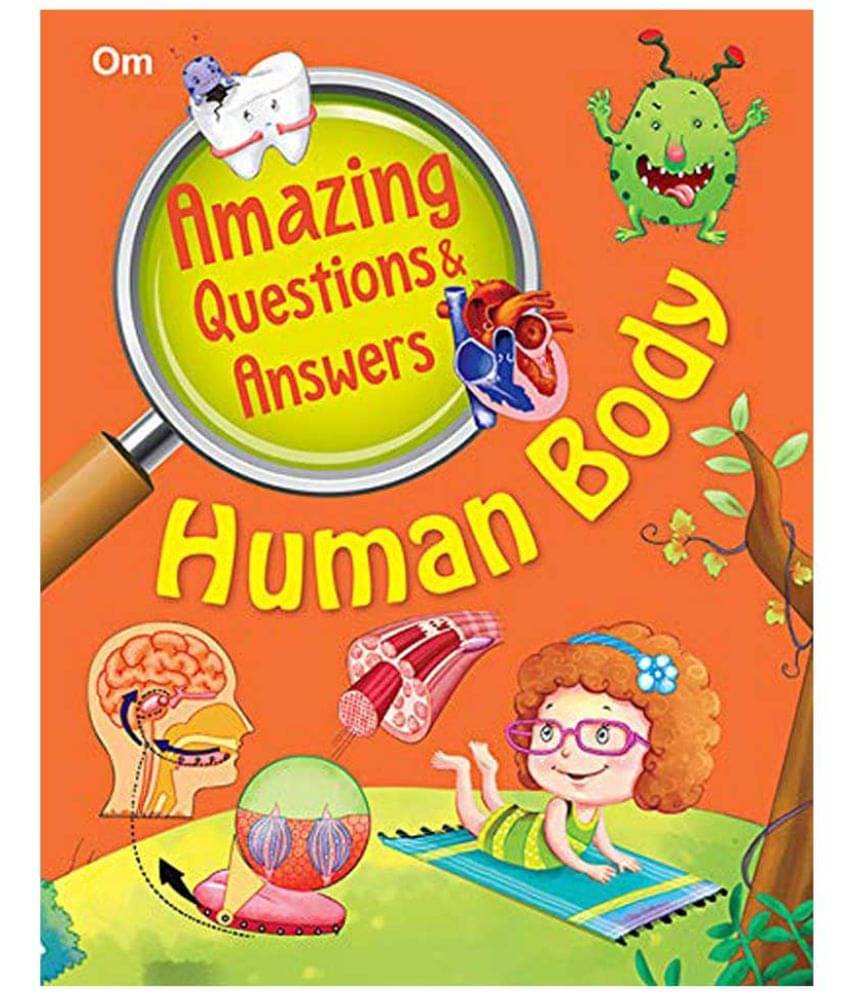 Amazing Questions And Answers Human Body Amazing Questions And Answers Human Body