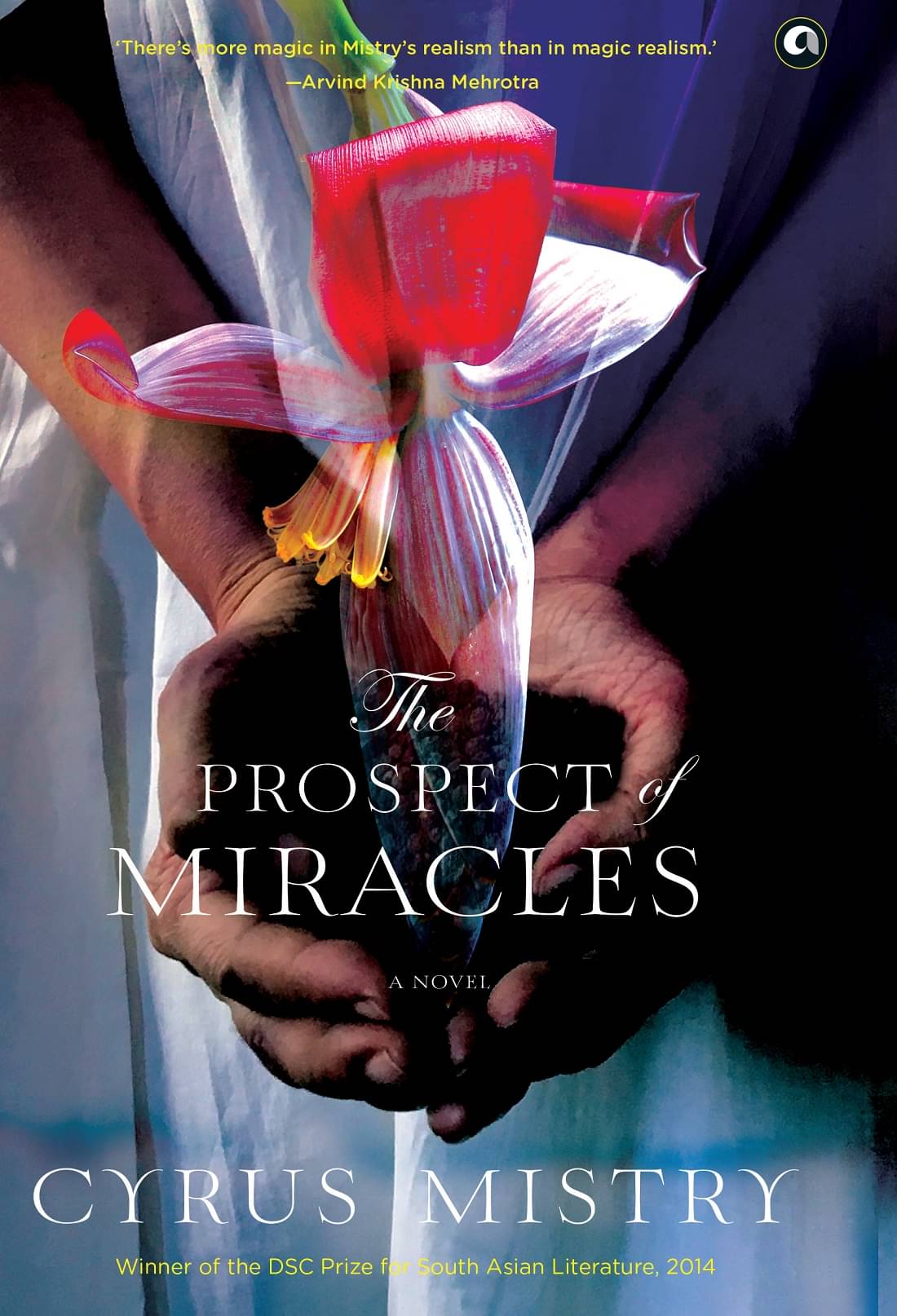     			The Prospect Of Miracles: A Novel