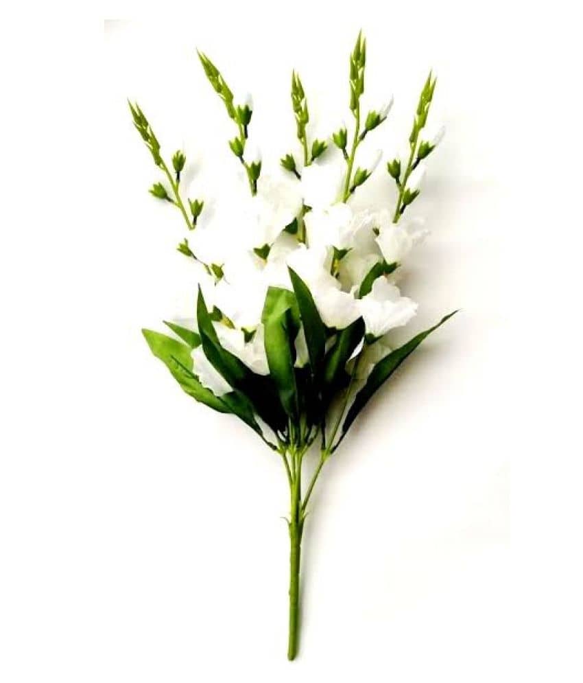 Green plant indoor Bougainvellia White Artificial Flowers Bunch - Pack of 1