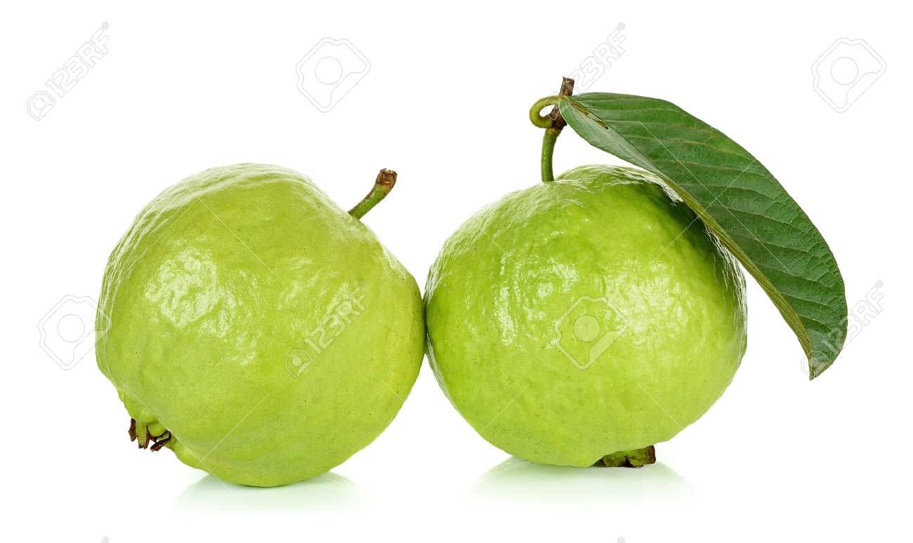 GREEN INDIA GUAVA FREES HYBRID 100% ORIGINAL SEEDS