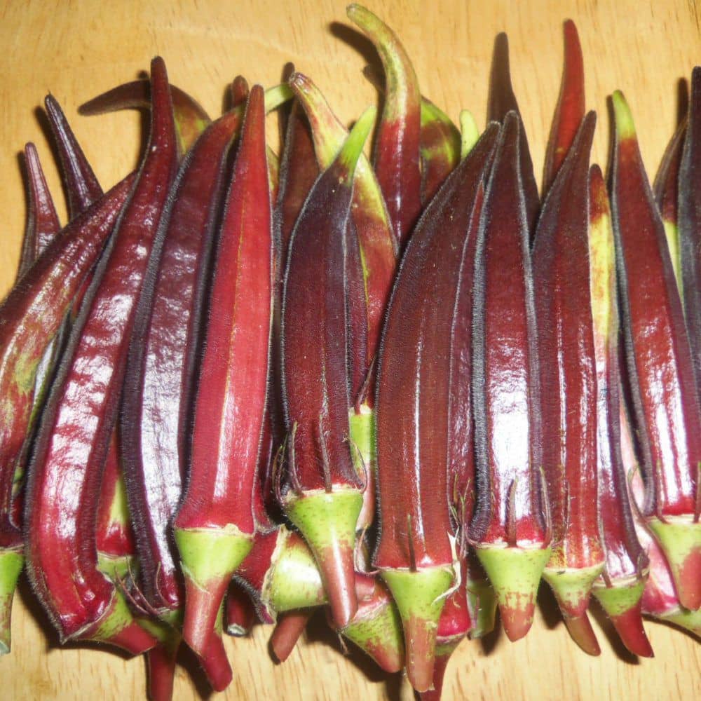Green India Vegetables Okra/Bhindi Hybrid Seeds - 50 seeds/Pack