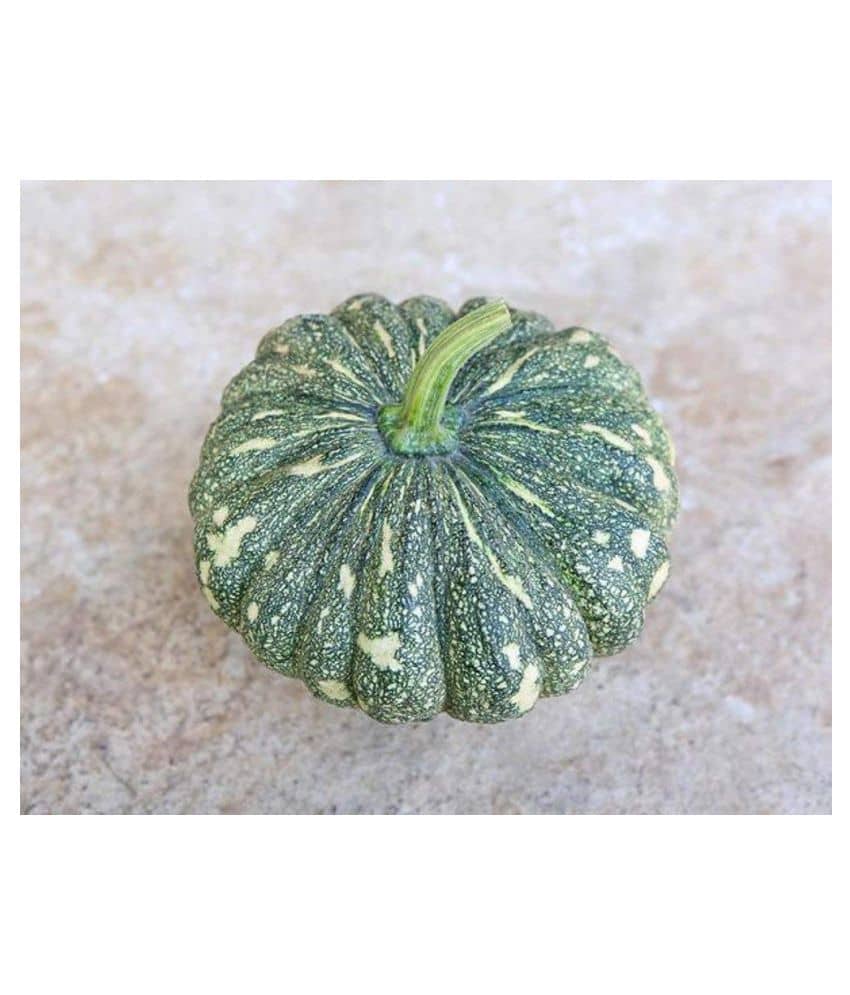 AllThatGrows Pumpkin, Kaddu Vegetable Winter Squash Seeds - Pack of 20