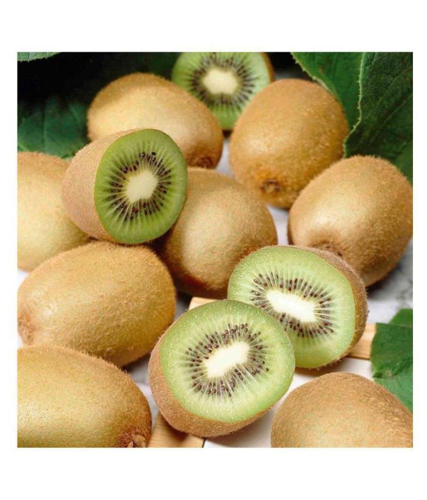 M-Technologies Kiwi Fruit Plant Seeds - Pack of 25 M-Technologies Kiwi Fruit Plant Seeds - Pack of 25