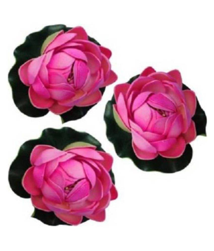 Green plant indoor Lotus Pink Floating Flowers - Pack of 3 Green plant indoor Lotus Pink Floating Flowers - Pack of 3