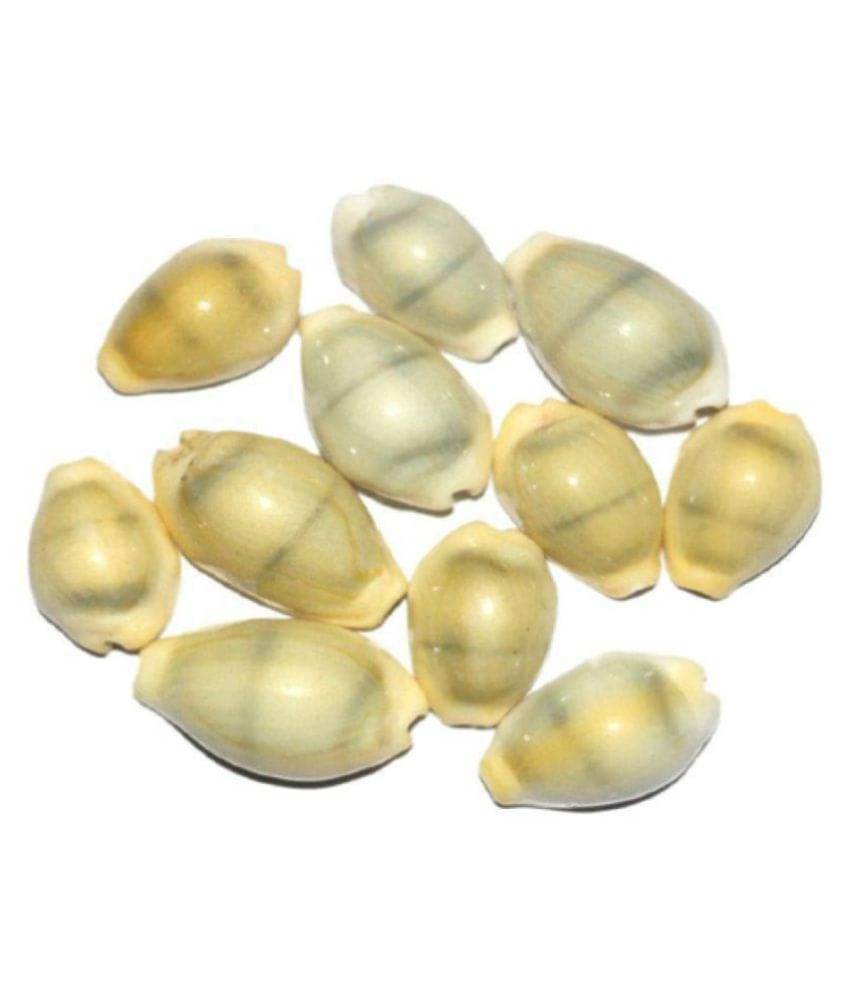     			ShriRamPujan - Stoneware Kowdi (Pack of 1)