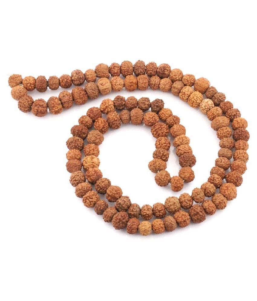     			Gems Jewels Online Rudraksha Pack of 1