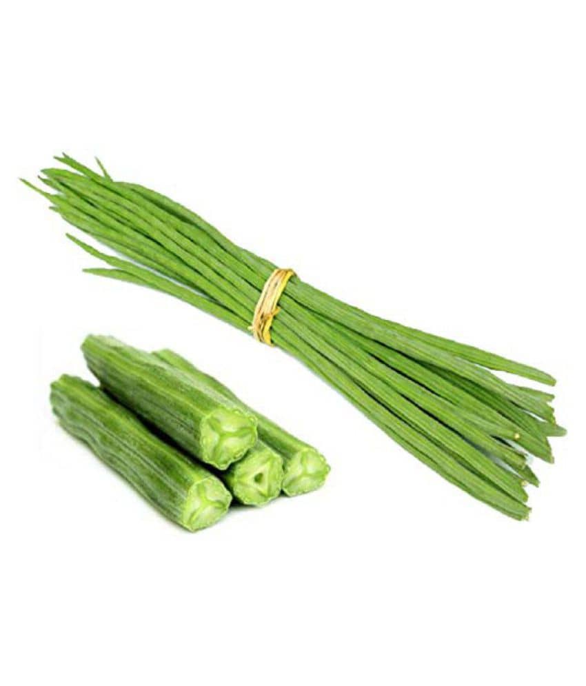 Splendour Seeds Drum Stick–Moringa,Murangai, Saijan ki phalli,Saragavo vegetable seeds (10 Seeds)