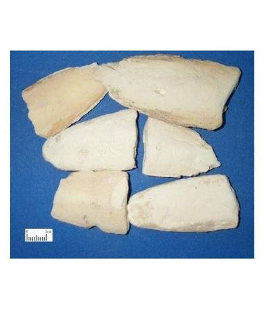     			PE - Loose Packed Samunder Fen -100 g