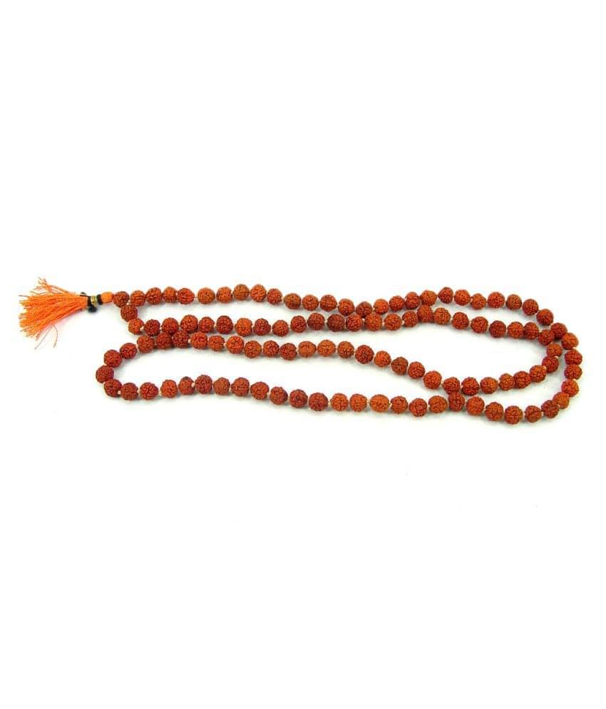     			Gems Jewels Online Rudraksha Pack of 1
