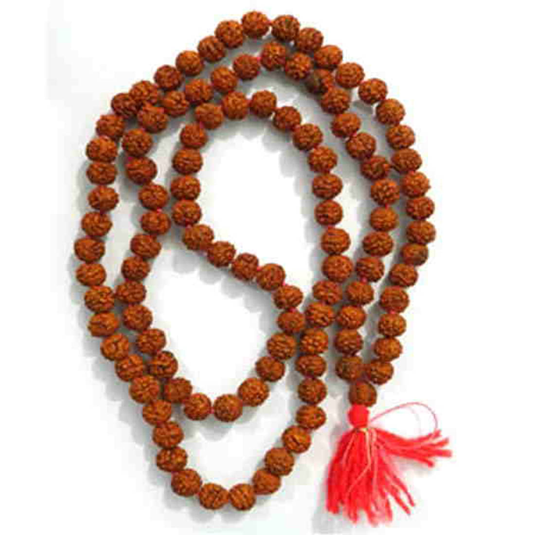 Gems Jewels Online Rudraksha Pack of 1 Gems Jewels Online Rudraksha Pack of 1